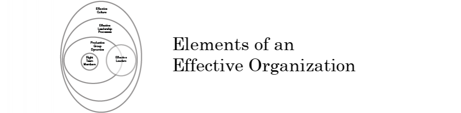 Elements of an Effective Organization